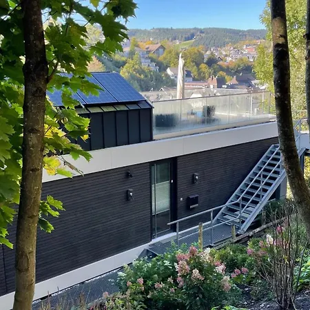 Williadukt Tatil Evi Willingen (Upland)
